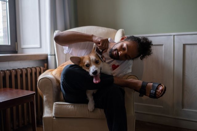 a person brushing their dog on a couch